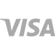 Visa Card Logo